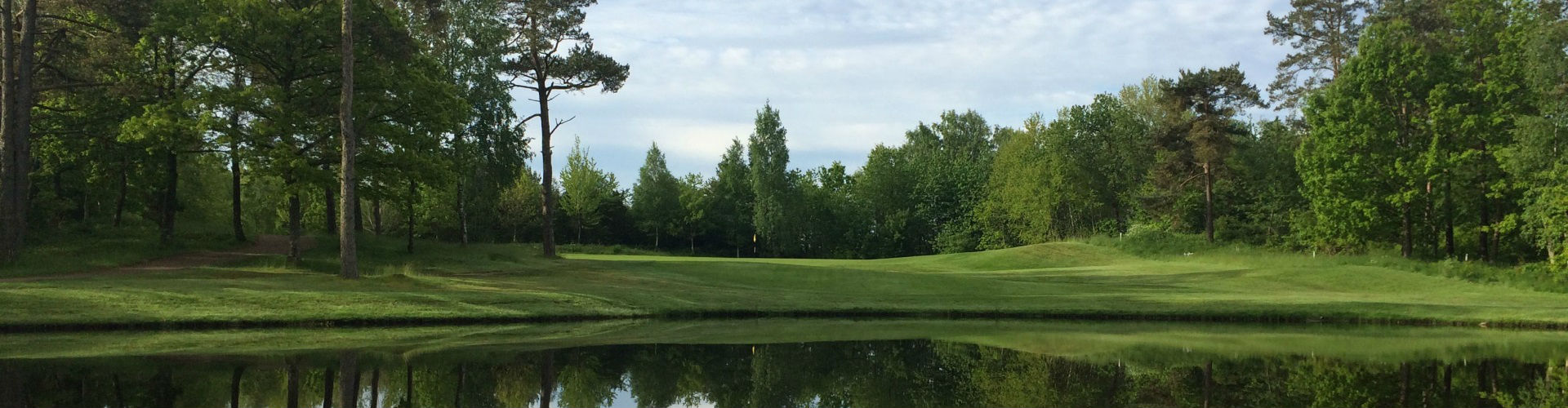 Golf i Sverige