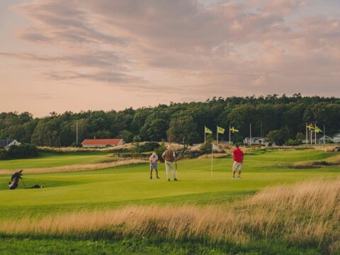 Halmstad Golfarena