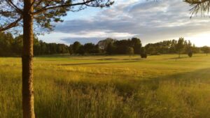 Leråkra Golfklubb erbjuder en enkel, familjär och prisvärd golfupplevelse  Det är en anläggning som ständigt växer och expanderar. Idag är det en komplett golfbana med nya omklädningsrum, mötesrum och kontorslokaler. Spela olika slingor, 9 hål, 12 hål och 18 hål. Greenfeen gäller hela dagen och när du spelat klart går det bra att köpa en fika.