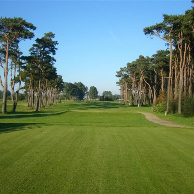 Golf på Bedinge Golfklubb
