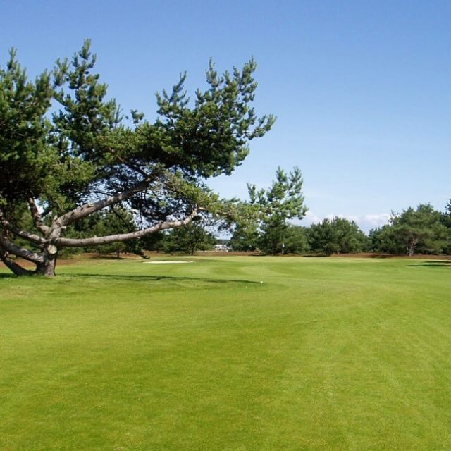 Golf på Kristianstads Golfklubb i Åhus
