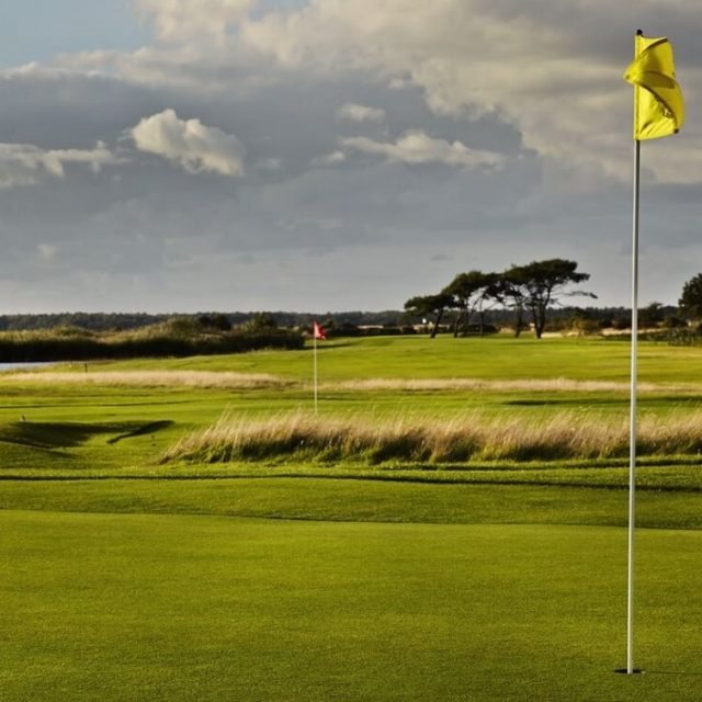 Golf på Ljunghusens Golfklubb