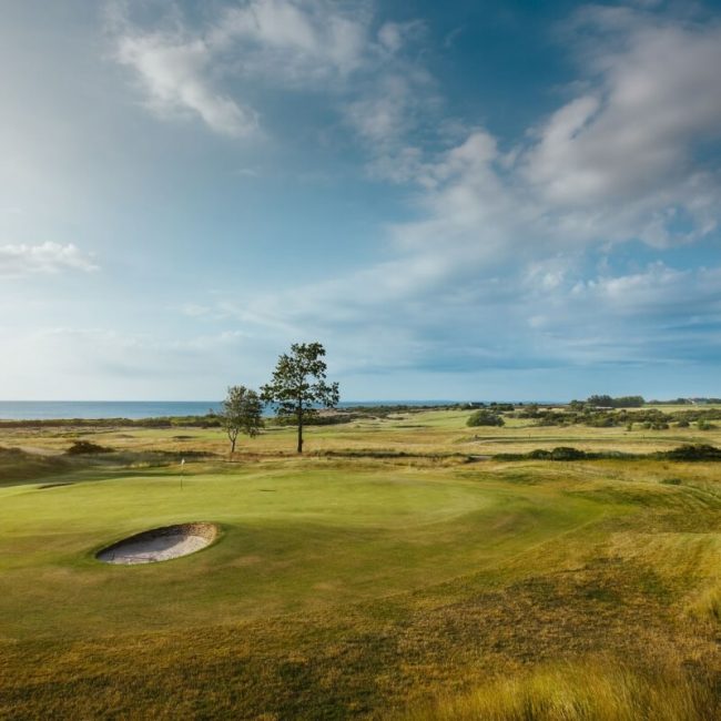 Golf på Torekovs Golfklubb